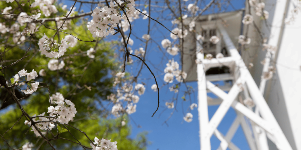 UGA Chapel Bell in Spring