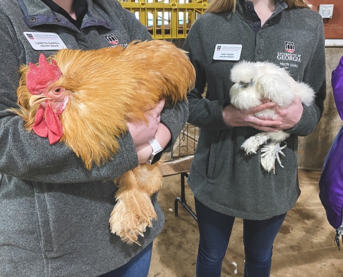 Feb 2020 Team Stewardship Event at Livestock Arena