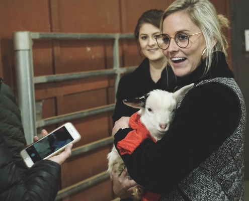 Feb 2020 Team Stewardship Event at Livestock Arena