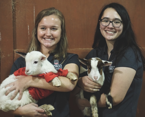 Feb 2020 Team Stewardship Event at Livestock Arena