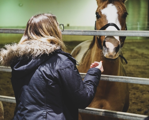 Feb 2020 Team Stewardship Event at Livestock Arena