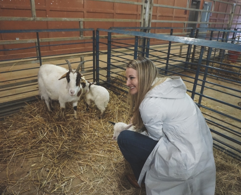 Feb 2020 Team Stewardship Event at Livestock Arena