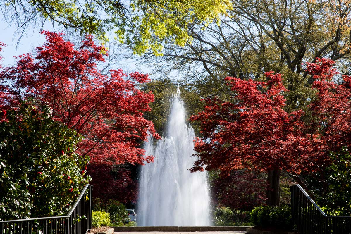 UGA Campus in spring