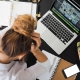 Woman with hands on head looking down at her laptop and phone on the table