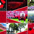 UGA Alumni Zoom Backgrounds