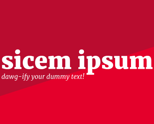 Sicem ipsum graphic