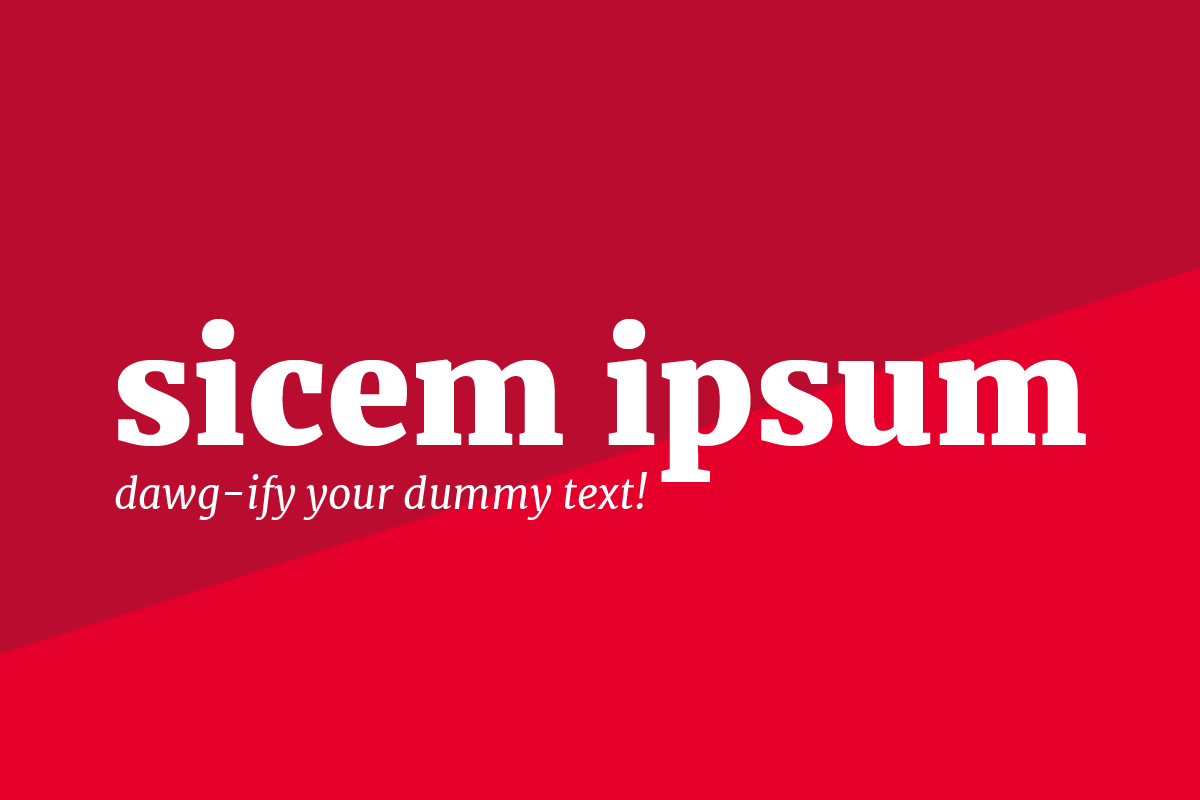 Sicem ipsum graphic